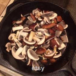 Garden Giant (King Stropharia wine cap) Mushroom Spawn