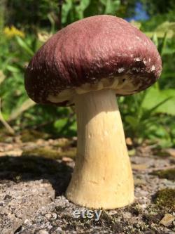 Garden Giant (King Stropharia wine cap) Mushroom Spawn