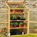 Garden Grow 3 Tier Polycarbonate Wooden Cold Frame Greenhouse Outdoor Shelter
