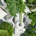 Gardyn System Algae Mold Covers With Plant Markers Name Tags Hydroponic Garden