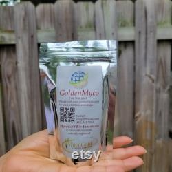 GoldenMyco Mycorrhizae Plant Food Increased Nutrient Intake and Inoculant for crops and plants Fertilizer Root Growth Enhancer Eco friendly