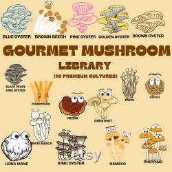 Gourmet Mushroom Farmers Market Culture Kit (52 week annual production pack)
