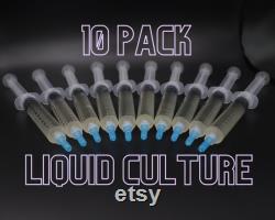 Gourmet Mushroom Liquid Culture 10 Pack 30 Varieties