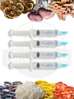 Gourmet Mushroom Liquid Culture 10ml Syringe 4 Pack Choose your favs and Save
