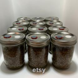 Grain Spawn Jars 12(ShipFree )pt jars withhalf-lb Whole Rye Berries Enriched with Gypsum and sterilized Pint, widemouth, metal standard lids