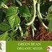 Green Bean Organic Seeds, 30 Count Green Bean Seed, Bean Plant Seeds For Garden And Pot, Non-gmo Heirloom, Open Pollination