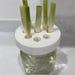 Green Onion Scallion Wide Mouth Mason Jar Adapter For Kratky Gardening