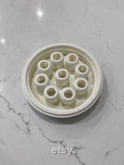 Green Onion Scallion Wide Mouth Mason Jar Adapter for Kratky Gardening