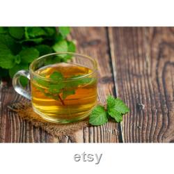 Green Tea Organic Seeds, 5 Count Turkey Black Sea Green Tea Seed, Very Yielding Year-round for Pot and Garden, Non-GMO Heirloom