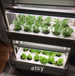 Greenhouse farming garden lights vertical indoor plant hydroponic system