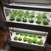 Greenhouse Farming Garden Lights Vertical Indoor Plant Hydroponic System