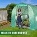 Greenhouse For Outdoors Greenhouse Walk-in Green House L9.8'xw6.5'xh6.5' Plastic