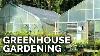 Greenhouses 101 Everything You Need To Know