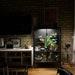Greenhouses Glass-door Cabinet, Rudsta, 31 1 2 X 14 5 8 X 47 1 4 Green