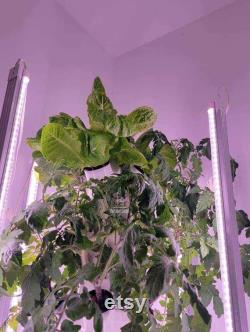Grey 12 Plant Hydroponic Tower Garden