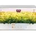 Growbox 2 Hydroponic System (stackable)