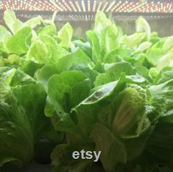 GrowBox 2 Hydroponic System (stackable)