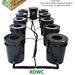 Grow 10 Recirculating Deep Water Culture Rdwc System Dwc