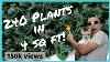 Grow 240 Plants In Only 4 Sq Ft Diy Hydroponics How I Mix Hydro Nutrients