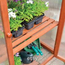 Grow Your Own Hardwood Mini Greenhouse