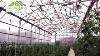 Growspan S2000 Commercial Greenhouse Breckenridge Texas