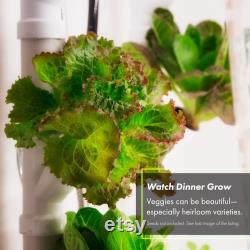 HAZEL Home Hydroponic System 5' 16 Plant Sites