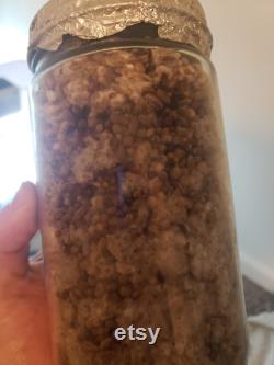 Halloween Bakers dozen 13 White Millet MycoNuke mushroom Grain Spawn Quart Jars 32oz Sterilized Gypsum NEW Coffee SWIRL