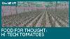 Hi Tech Tomatoes Growing In A Greenhouse The Size Of 11 Football Pitches Itv News