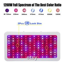 High Quality New Arrival LED Plant Grow Light Full Spectrum with Double Switch Veg and Bloom Growing Lights for Indoor Plants