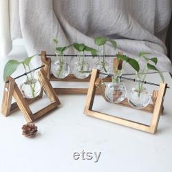 Home Desktop Gifts,Glass Vase Plant Propagation,Hydroponic Bulb,Terrarium with Wooden Stand,Transparent Small BallDecoration Flower Pot for