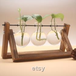 Home Desktop Gifts,Glass Vase Plant Propagation,Hydroponic Bulb,Terrarium with Wooden Stand,Transparent Small BallDecoration Flower Pot for