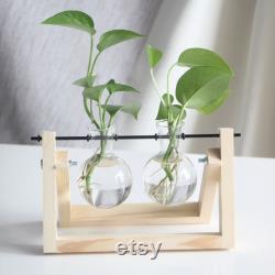 Home Desktop Gifts,Glass Vase Plant Propagation,Hydroponic Bulb,Terrarium with Wooden Stand,Transparent Small BallDecoration Flower Pot for