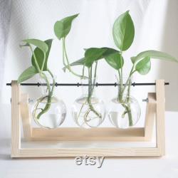 Home Desktop Gifts,Glass Vase Plant Propagation,Hydroponic Bulb,Terrarium with Wooden Stand,Transparent Small BallDecoration Flower Pot for