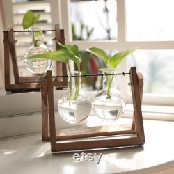 Home Desktop Gifts,Glass Vase Plant Propagation,Hydroponic Bulb,Terrarium with Wooden Stand,Transparent Small BallDecoration Flower Pot for