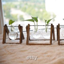 Home Desktop Gifts,Glass Vase Plant Propagation,Hydroponic Bulb,Terrarium with Wooden Stand,Transparent Small BallDecoration Flower Pot for