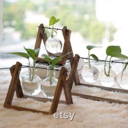 Home Desktop Gifts,Glass Vase Plant Propagation,Hydroponic Bulb,Terrarium with Wooden Stand,Transparent Small BallDecoration Flower Pot for