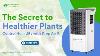 How To Control Humidity In Your Hydroponic Grow Room With Drop Air X 190 Hydroponicstown