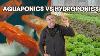 How To Grow Your Dream Garden Without Soil Aquaponics Vs Hydroponics Greenhouses
