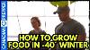 How To Survive Winter Grow Food In 40 In A Passive Solar Greenhouse