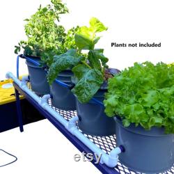 Hydroponic Ebb and Flow 8 Bucket Gardening System