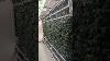 Hydroponic Farms Growing Local And Feeding Communities Hydroponics Shorts Farming Food
