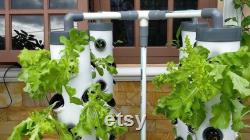 Hydroponic Garden Guide on how you can do it yourself.