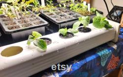 Hydroponic Gardening, Set of 3x4 Inch End Caps for 3x4 Vinyl Downspout, DIY Container Gardening