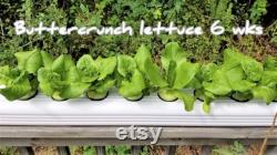 Hydroponic Gardening, Set of 3x4 Inch End Caps for 3x4 Vinyl Downspout, DIY Container Gardening