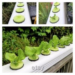 Hydroponic Gardening, Set of 3x4 Inch End Caps for 3x4 Vinyl Downspout, DIY Container Gardening