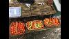 Hydroponic Greenhouse Tomatoes Breaks 1000 Lbs Contest Winner