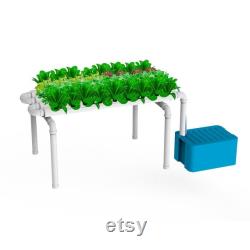 Hydroponic Kit N1 NFT System, Nutrients and pH regulators included