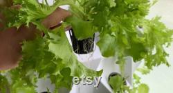 Hydroponic Plant System Vertical Hydroponic garden Indoor Greenhouse Aeroponic Tower