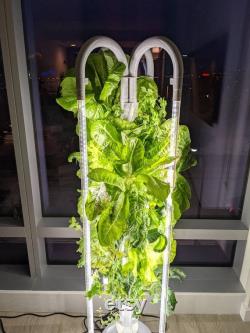 Hydroponic Tower 16p