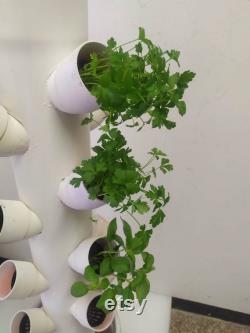 Hydroponic Tower 16p